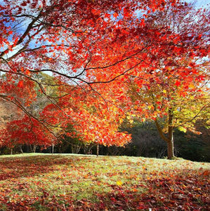 Meet your Posher, Delanah